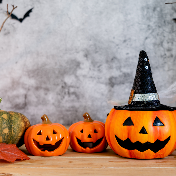 Texas Snax's Ultimate Guide to Buc-ee's Spooktacular Collection
