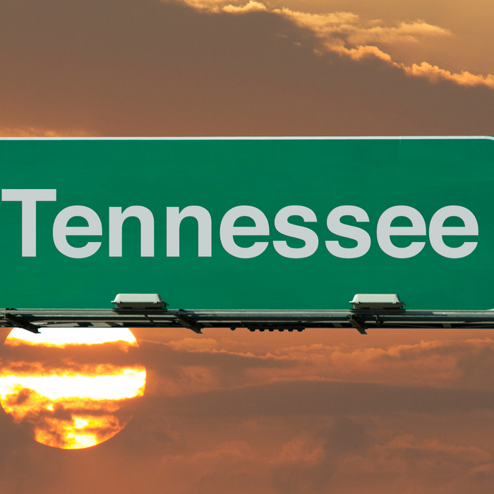 The New Collection of Buc-ee's Apparel from Tennessee