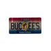 One side of the Buc-ee's Double-Sided  Ohio Magnet, a magnet with a red, silver, and blue gradient background At the top center, the word "OHIO" appears above a large, raised silver "BUC-EE’S" logo. The central circular Buc-ee’s beaver mascot replaces the 'C' and is set against an outline of the state of Ohio. Below the logo, the text "Beaver Believer" is written in silver script. The magnet features rounded corners and sits on a solid white background. 