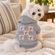 Small white Maltese dog wearing a pink hair bow looking back over its shoulder while wearing the Buc-ee's heather gray pet hoodie, clearly displaying the back grid pattern of pink bows and Buc-ee's beaver logos.