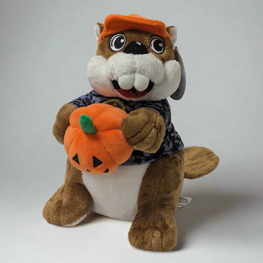 Masks & Accessories With Buc ee's Logo | Texas Snax