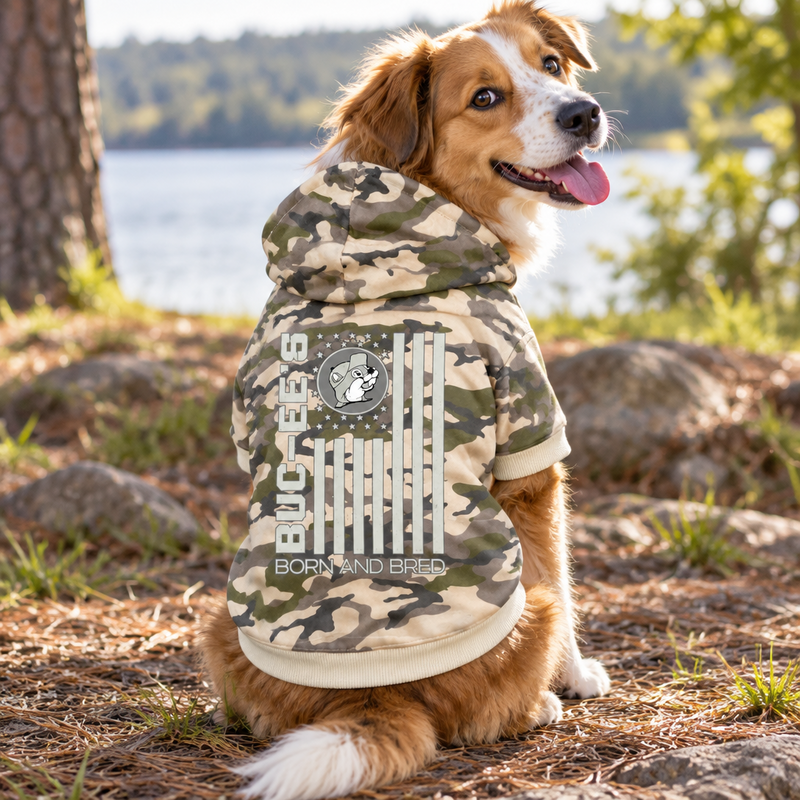 Dog sitting by a lake wearing a camo Buc-ee's pet hoodie with flag graphic on the back