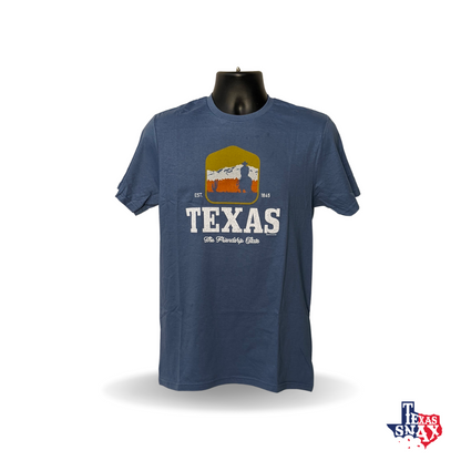 Super Soft Foggy Blue Texas Friendship State Shirt