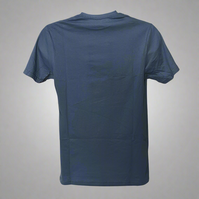 Super Soft Foggy Blue Texas Friendship State Shirt